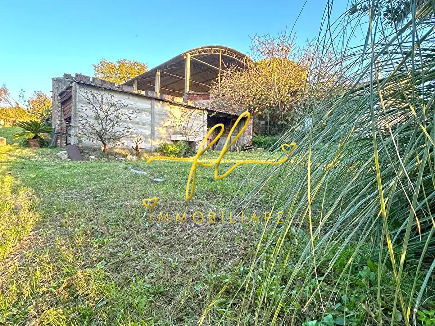 Immagine 13 di Casa indipendente in vendita  a Castellina Marittima