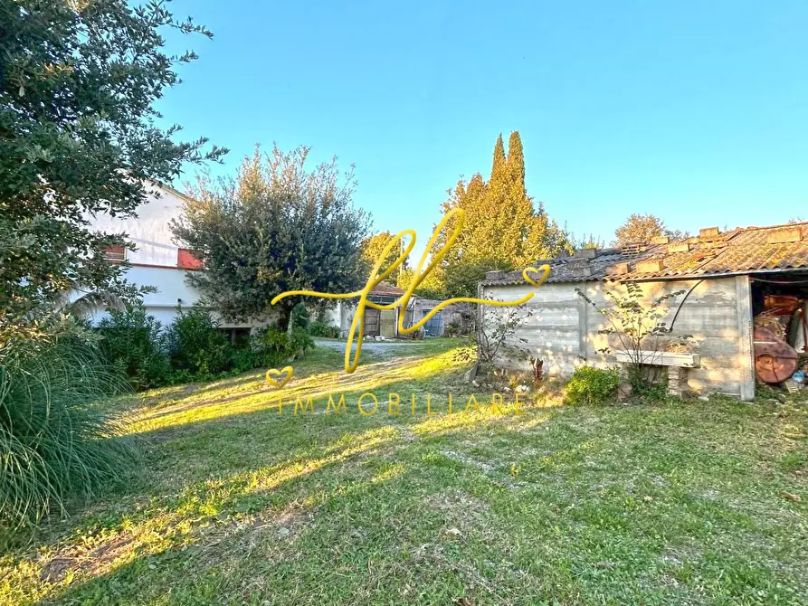 Immagine 18 di Casa indipendente in vendita  a Castellina Marittima