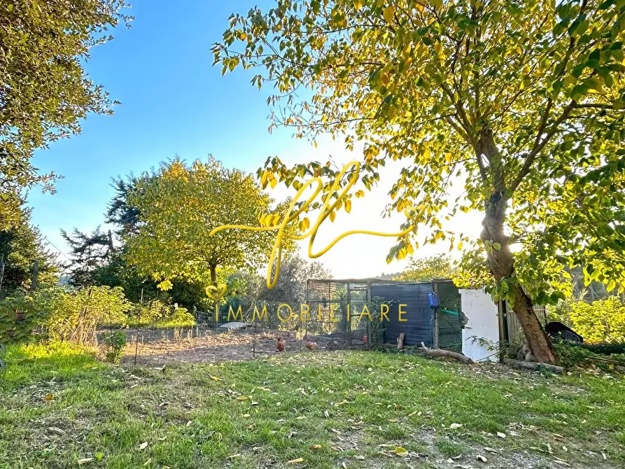 Immagine 15 di Casa indipendente in vendita  a Castellina Marittima