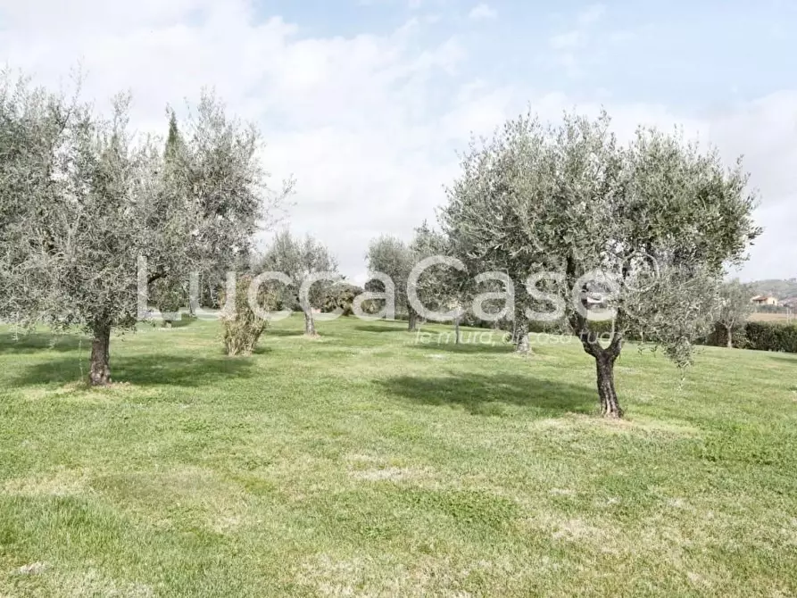 Immagine 49 di Villa in vendita  a Montecarlo