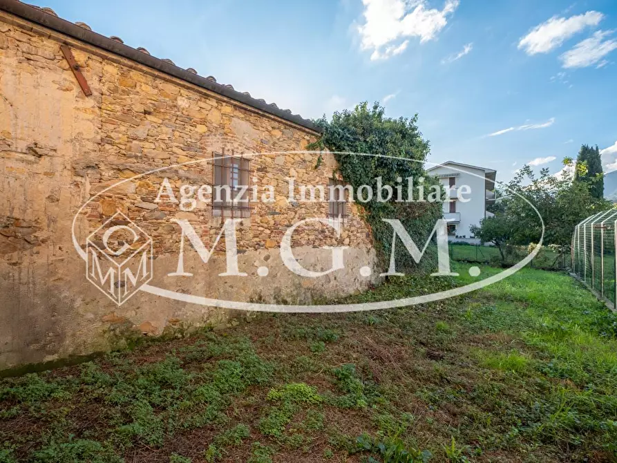 Immagine 26 di Appartamento in vendita  a Buti