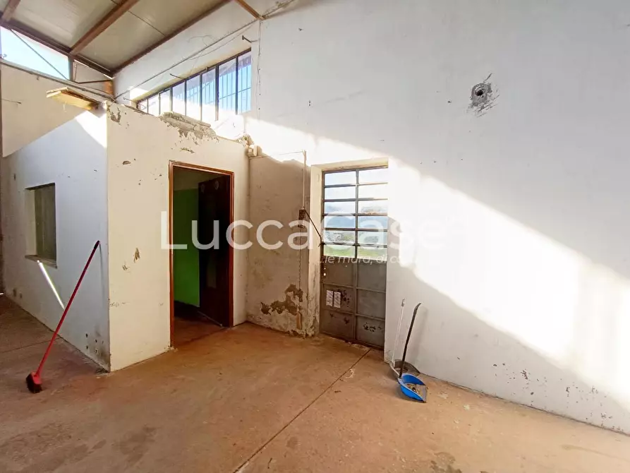 Immagine 6 di Attività artigianale in affitto  a Capannori