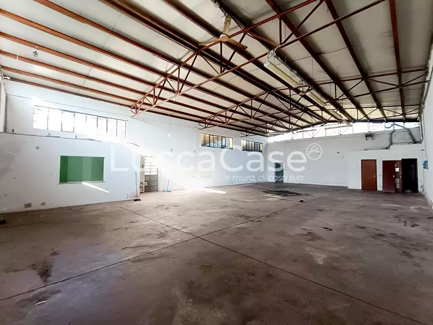 Immagine 2 di Attività artigianale in affitto  a Capannori