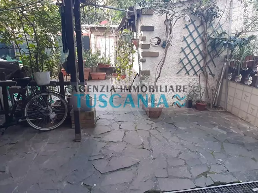 Immagine 13 di Appartamento in vendita  a Cecina