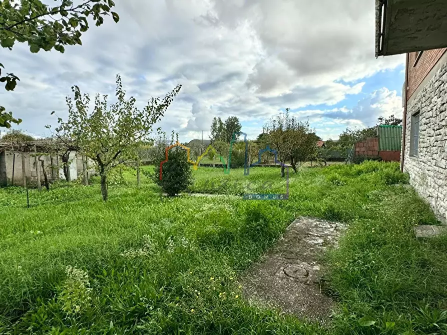 Immagine 39 di Villa in vendita  a San Giuliano Terme