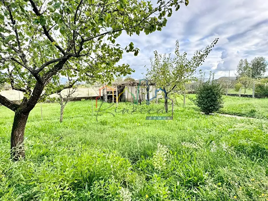 Immagine 38 di Villa in vendita  a San Giuliano Terme