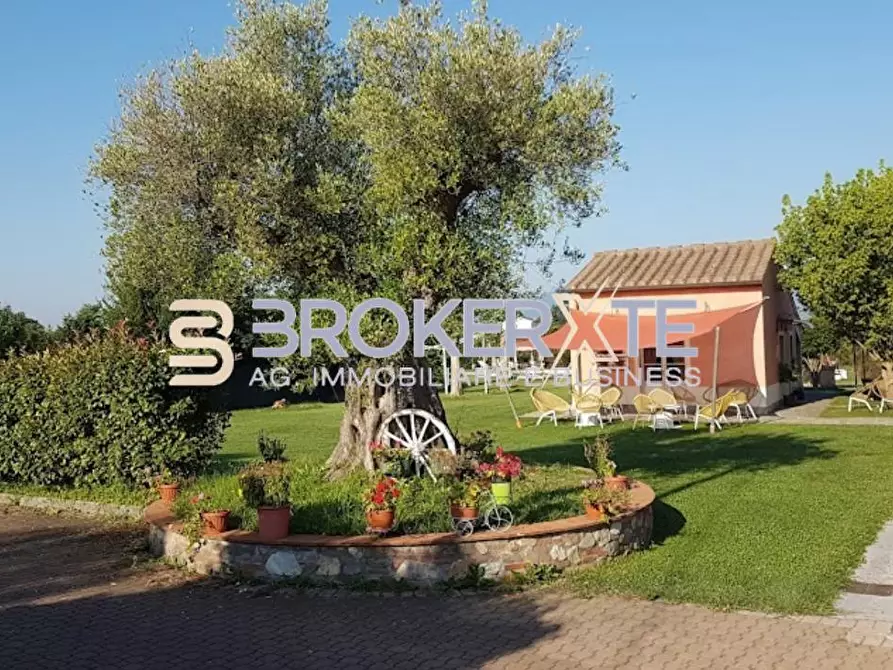 Immagine 2 di Casa colonica in vendita  a Altopascio