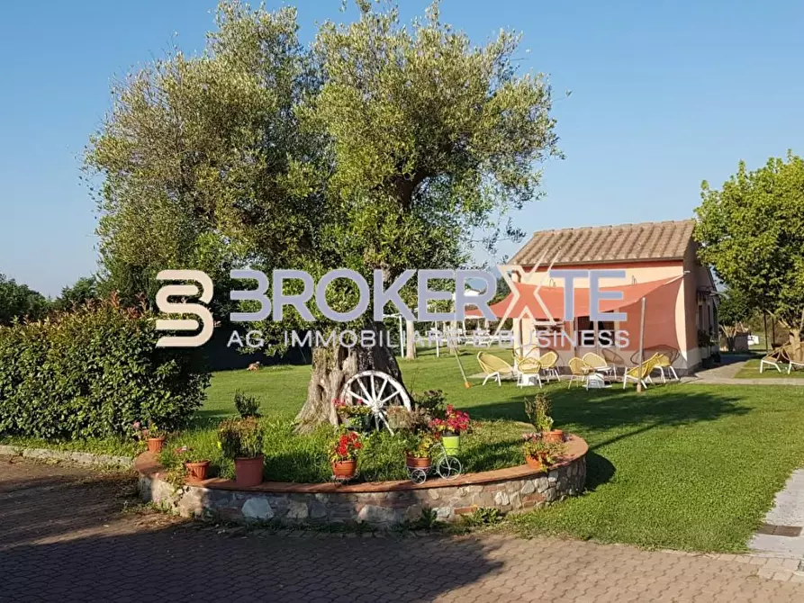Immagine 7 di Casa colonica in vendita  a Altopascio