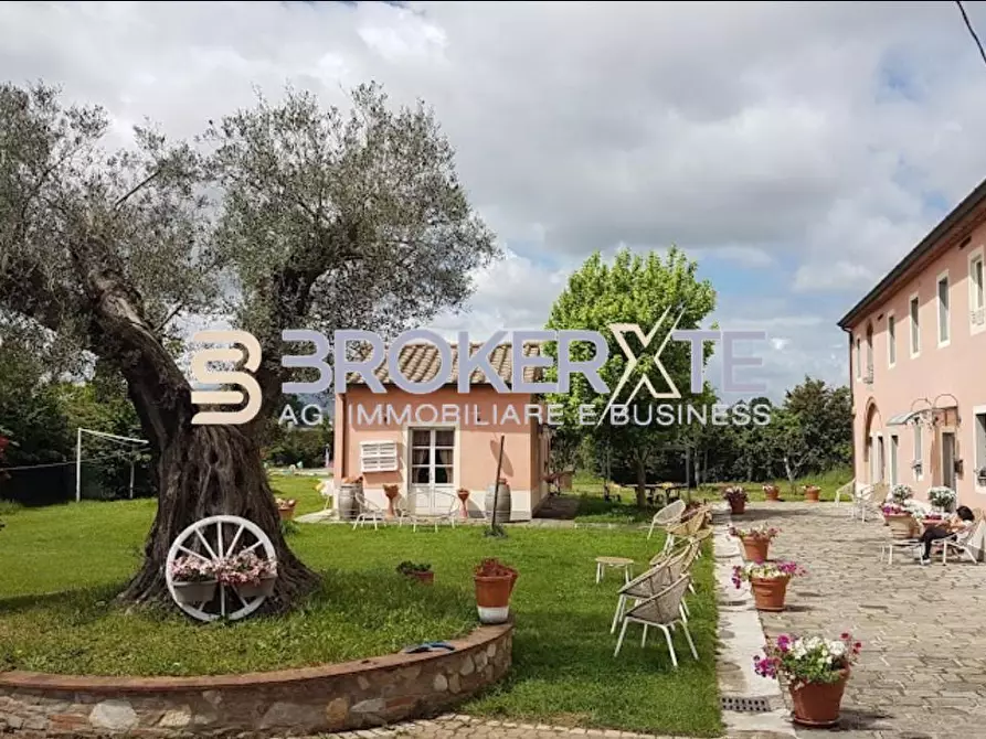 Immagine 9 di Casa colonica in vendita  a Altopascio