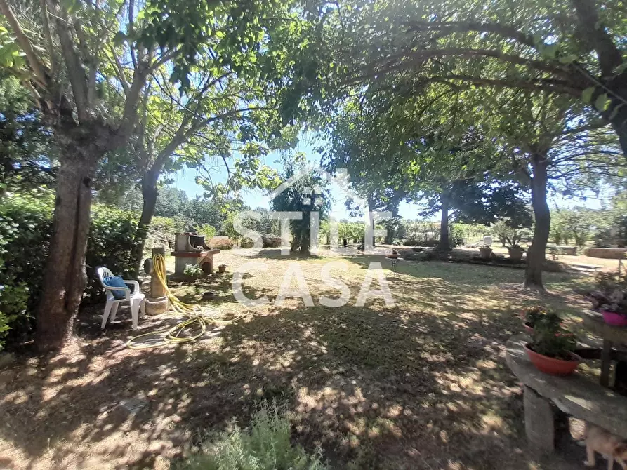 Immagine 31 di Rustico / casale in vendita  a Castelfranco Di Sotto