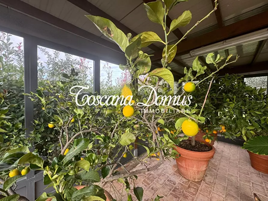 Immagine 23 di Casa indipendente in vendita  a Siena