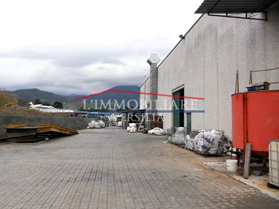Immagine 4 di Capannone industriale in vendita  a Massa
