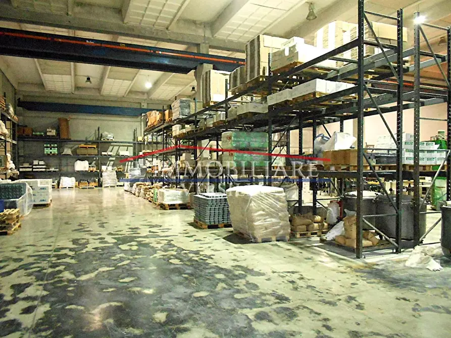 Immagine 9 di Capannone industriale in vendita  a Massa