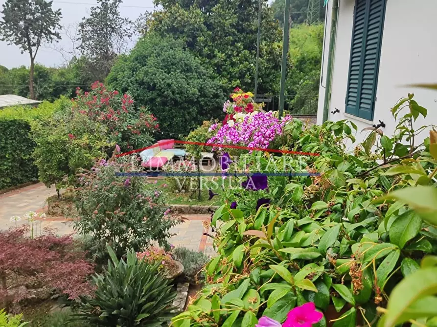 Immagine 8 di Villa in vendita  a Carrara