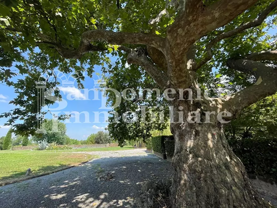 Immagine 51 di Villetta a schiera in vendita  a San Giuliano Terme