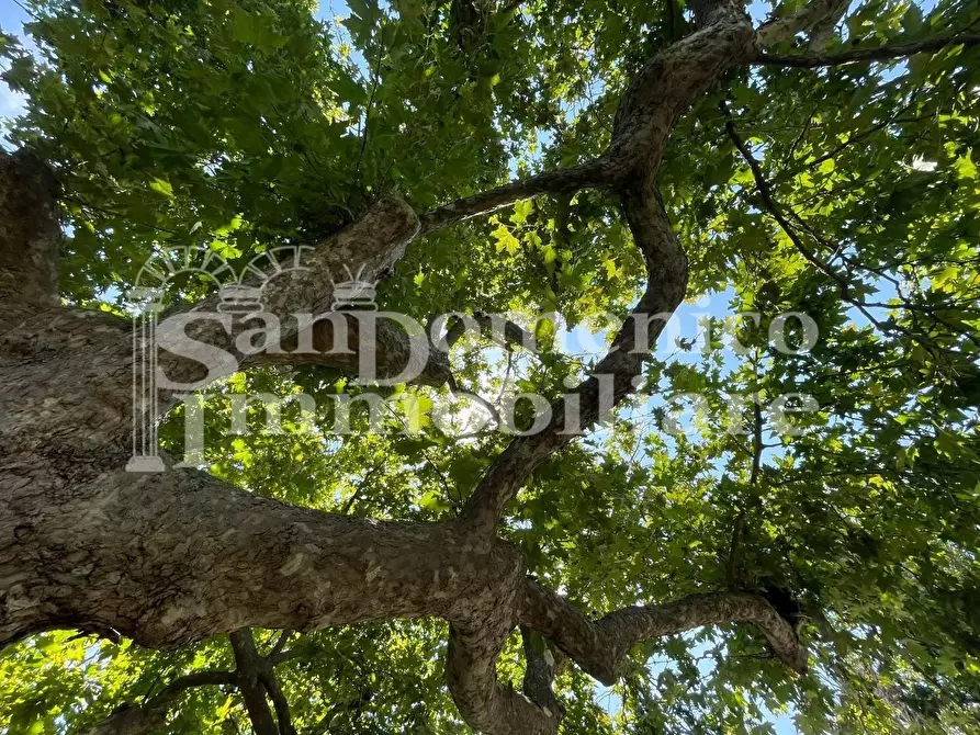 Immagine 50 di Villetta a schiera in vendita  a San Giuliano Terme