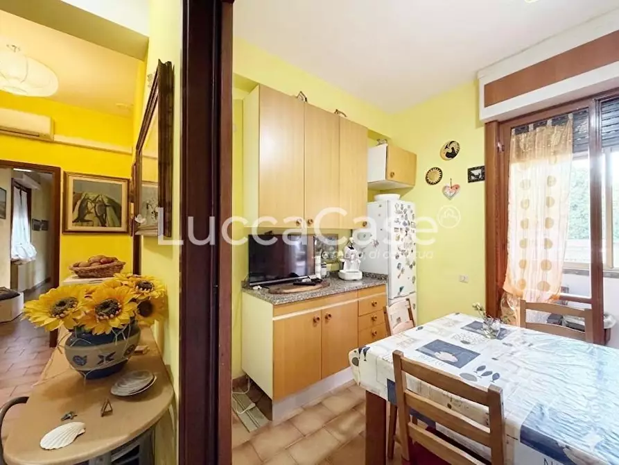 Immagine 5 di Appartamento in vendita  a Lucca