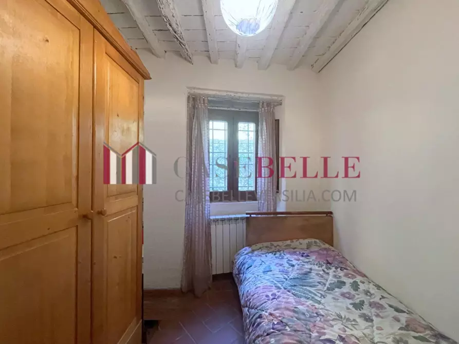 Immagine 16 di Terratetto in vendita  a Camaiore