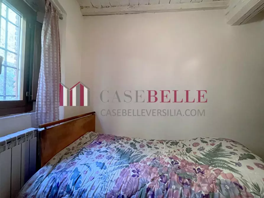 Immagine 17 di Terratetto in vendita  a Camaiore