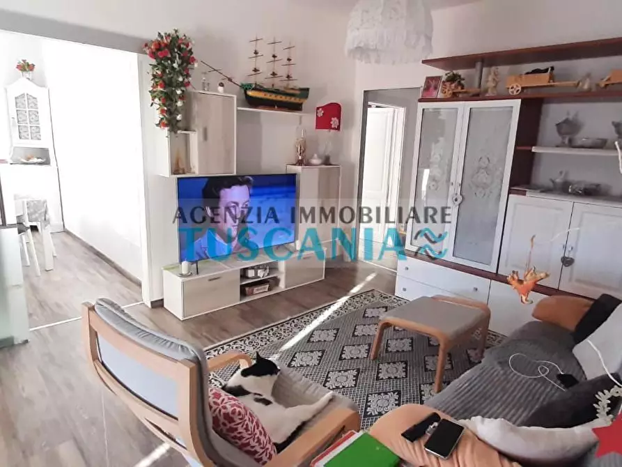 Immagine 4 di Appartamento in vendita  a Cecina
