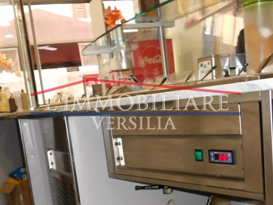 Immagine 6 di Attività commerciale in vendita  a Massa