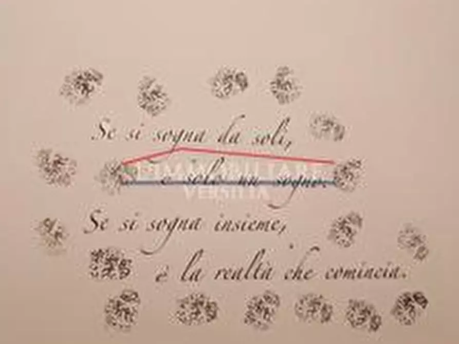 Immagine 23 di Albergo/B&B/Residence in vendita  a Massa