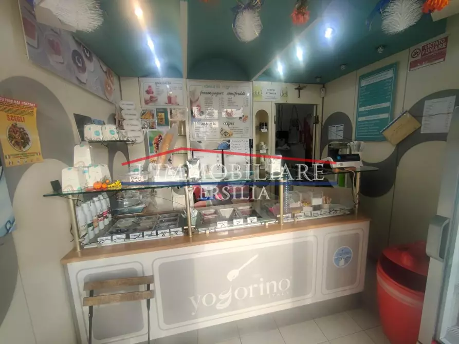 Immagine 3 di Attività commerciale in vendita  a Massa