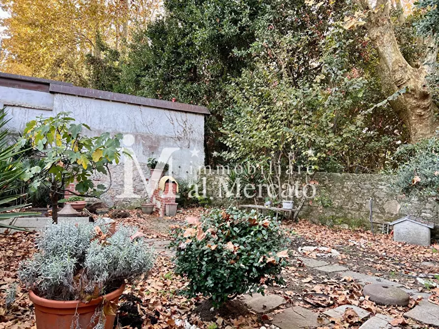 Immagine 37 di Villetta a schiera in vendita  a Viareggio