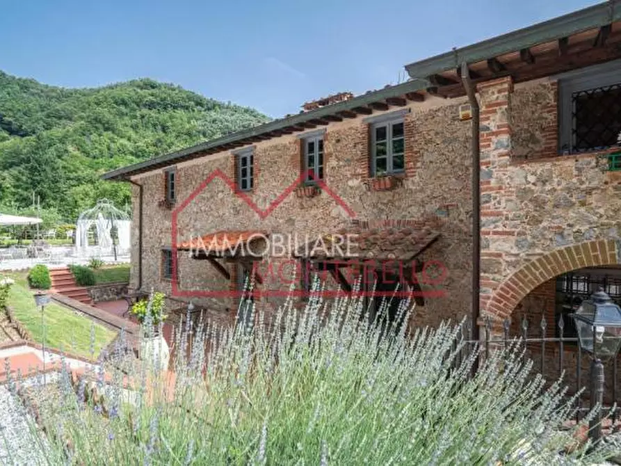 Immagine 3 di Rustico / casale in vendita  a Camaiore