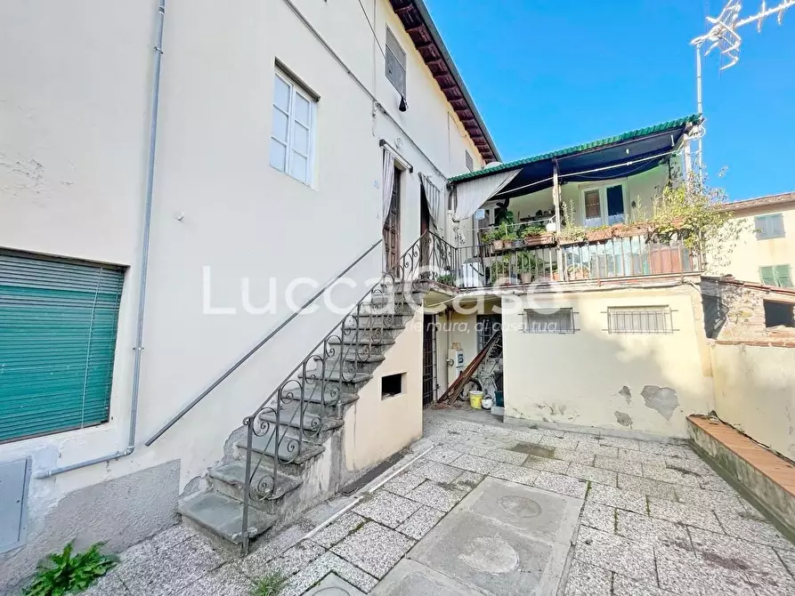 Immagine 12 di Casa colonica in vendita  a Lucca