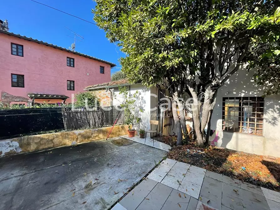 Immagine 8 di Casa colonica in vendita  a Lucca