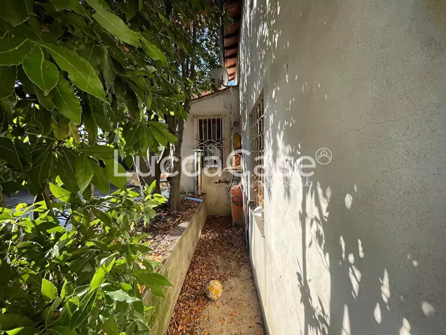 Immagine 6 di Casa colonica in vendita  a Lucca