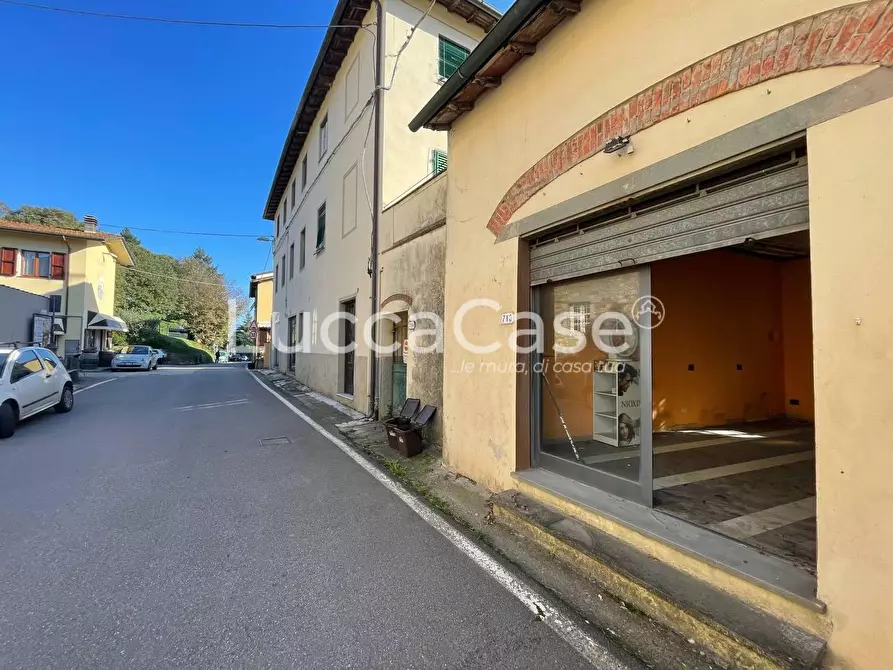 Immagine 4 di Casa colonica in vendita  a Lucca