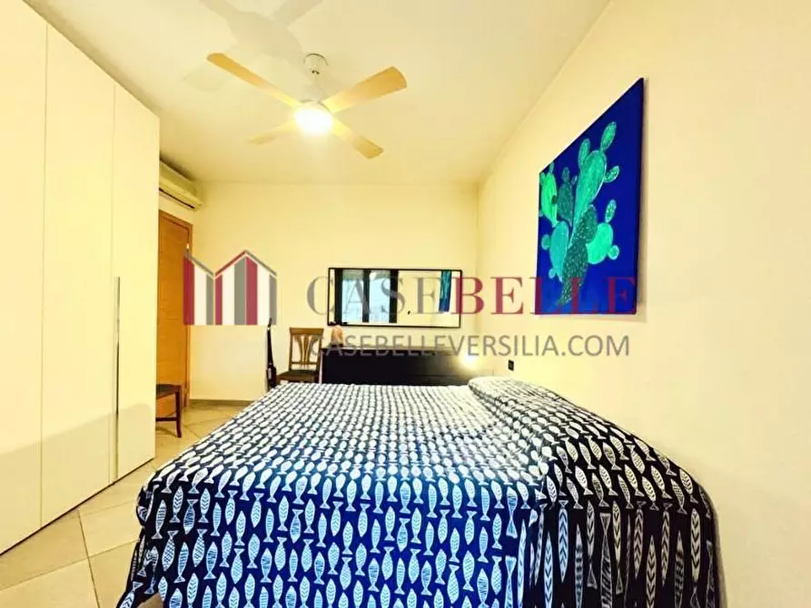 Immagine 14 di Appartamento in affitto  a Camaiore