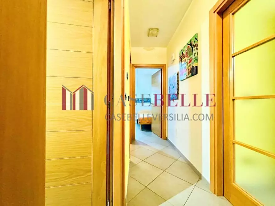 Immagine 15 di Appartamento in affitto  a Camaiore