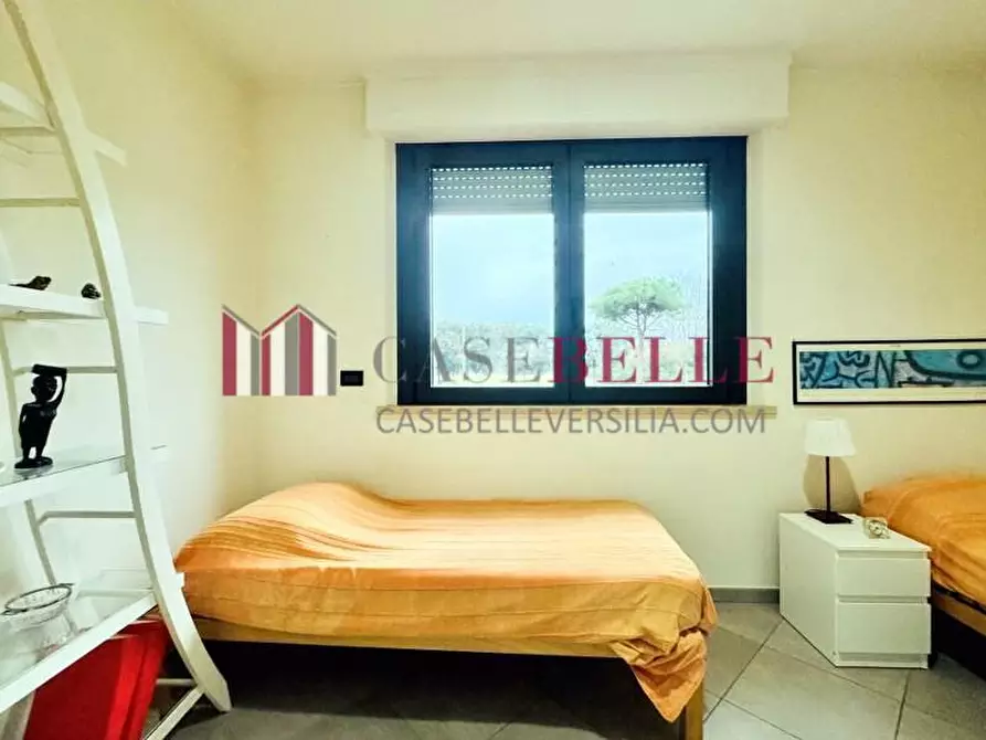 Immagine 22 di Appartamento in affitto  a Camaiore