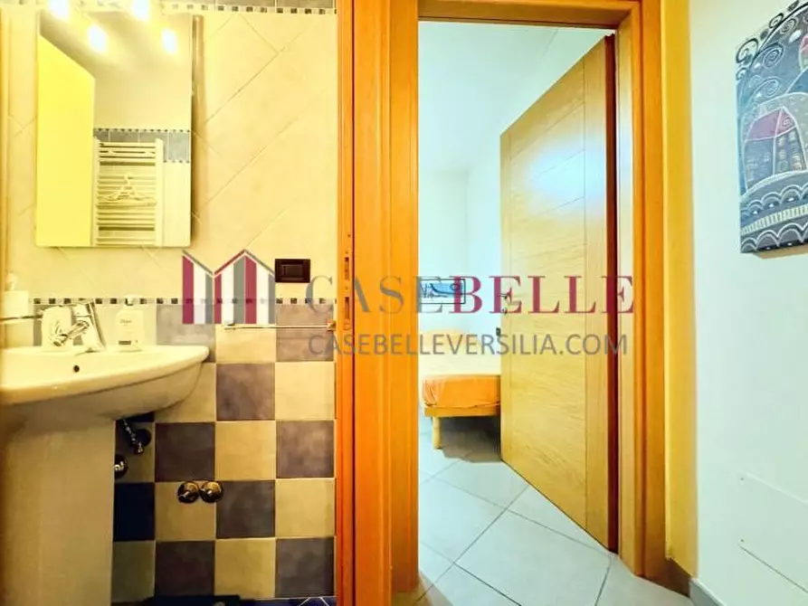 Immagine 19 di Appartamento in affitto  a Camaiore