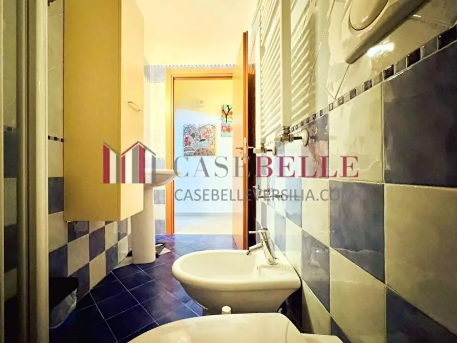 Immagine 27 di Appartamento in affitto  a Camaiore