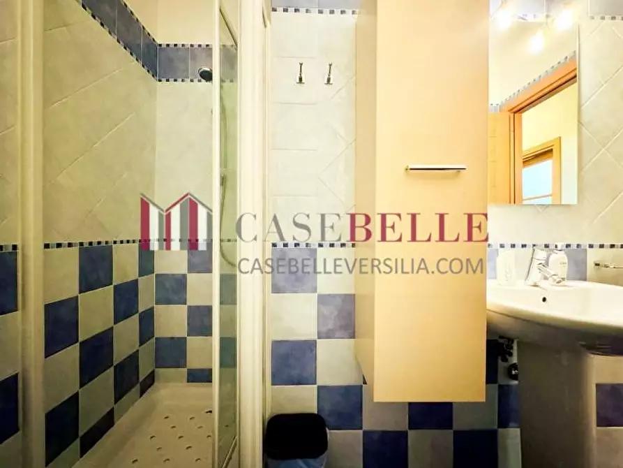 Immagine 26 di Appartamento in affitto  a Camaiore