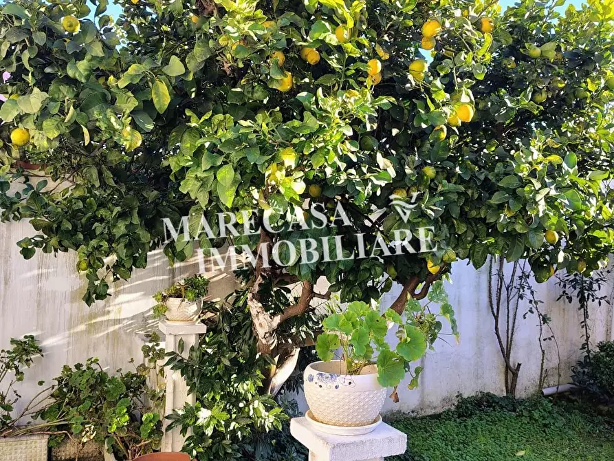 Immagine 19 di Appartamento in vendita  a Carrara