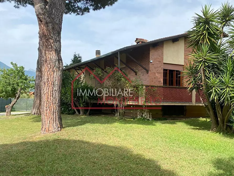 Immagine 3 di Villa in vendita  a Camaiore
