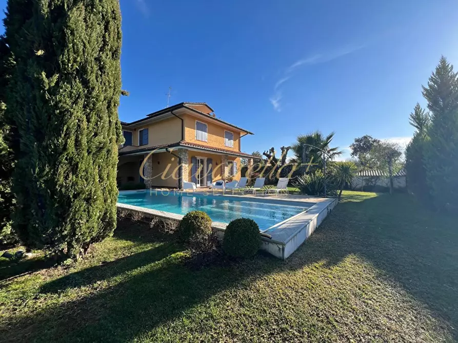 Immagine 36 di Villa in affitto  a Forte Dei Marmi