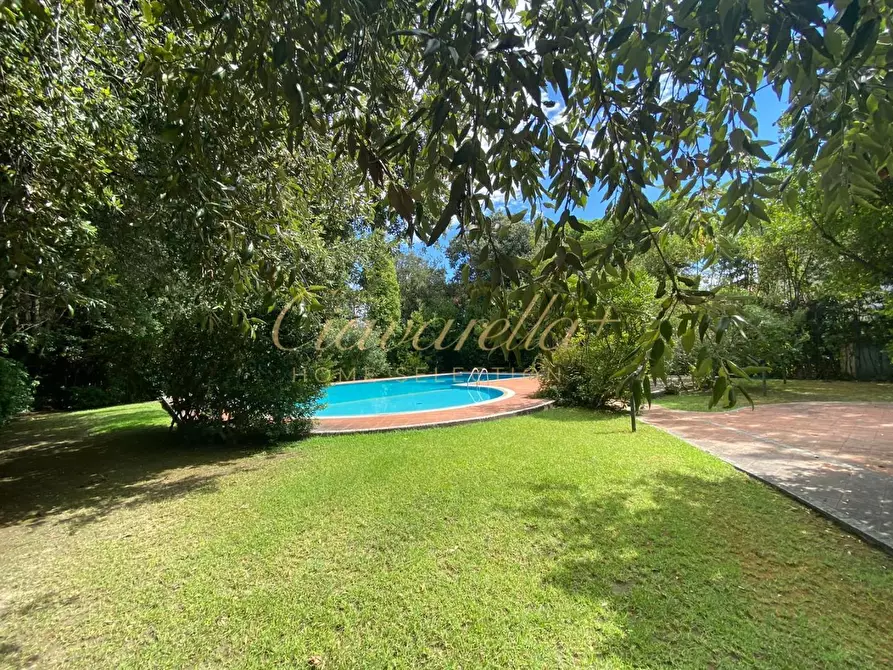 Immagine 4 di Villa in vendita  a Forte Dei Marmi