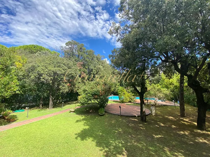 Immagine 2 di Villa in vendita  a Forte Dei Marmi