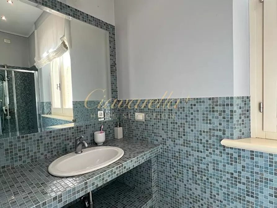 Immagine 24 di Villa in affitto  a Forte Dei Marmi