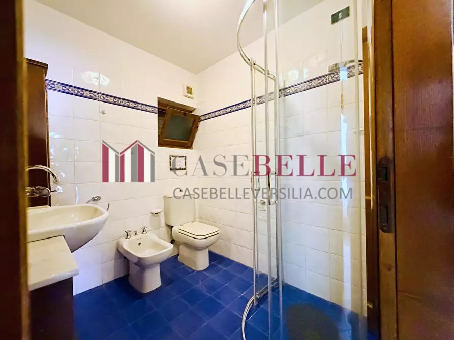 Immagine 13 di Appartamento in affitto  a Pietrasanta