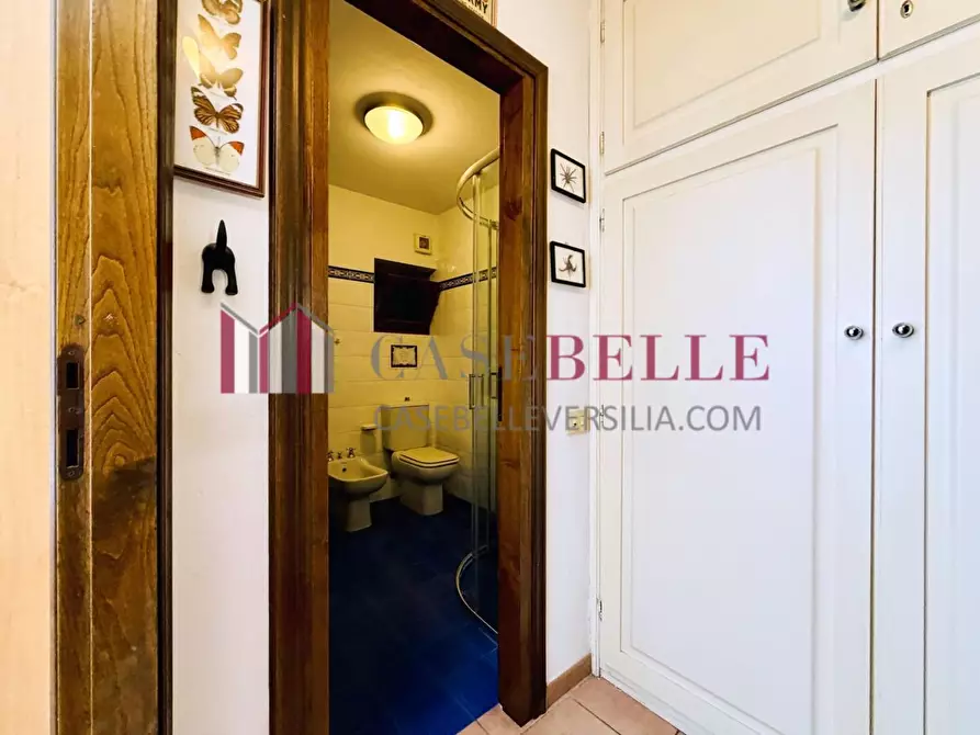 Immagine 12 di Appartamento in affitto  a Pietrasanta