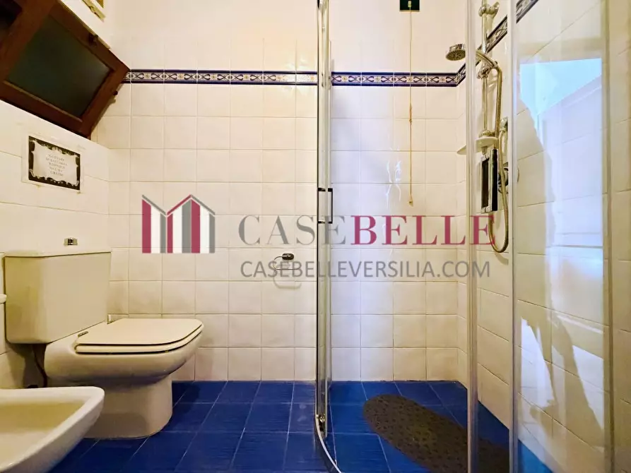 Immagine 14 di Appartamento in affitto  a Pietrasanta