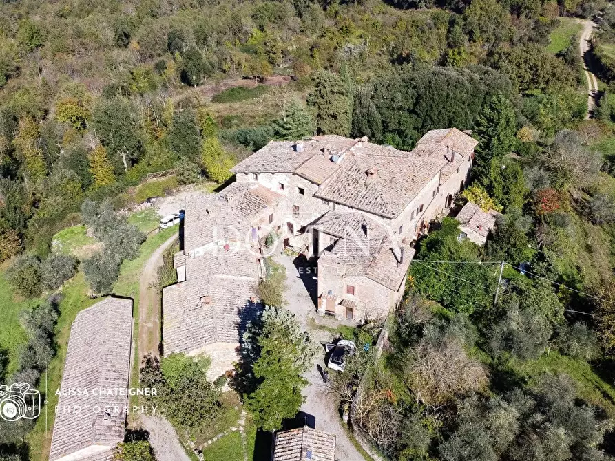 Immagine 19 di Appartamento in vendita  a Castelnuovo Berardenga