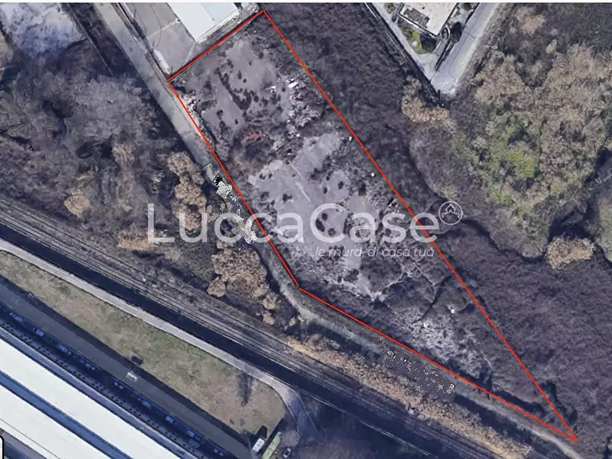 Immagine 1 di Terreno agricolo in affitto  a Pisa